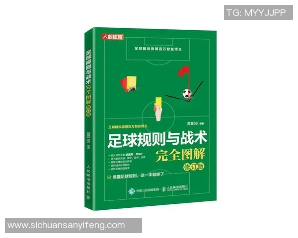 武汉足球队的节奏解析：从战术布局到球员配合的深度剖析
